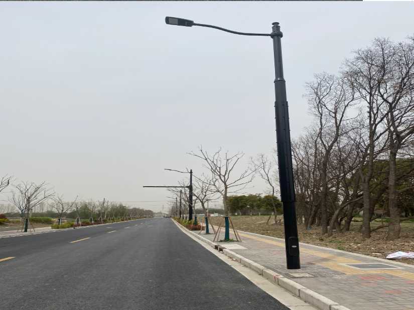 八步区上海综合杆 太阳能路灯工程